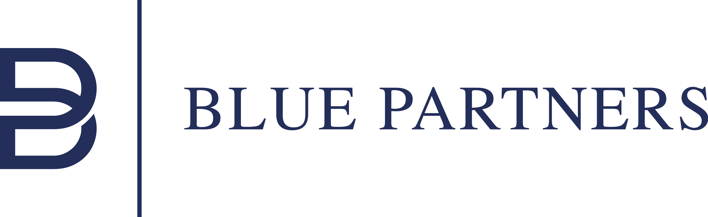 Blue Partners